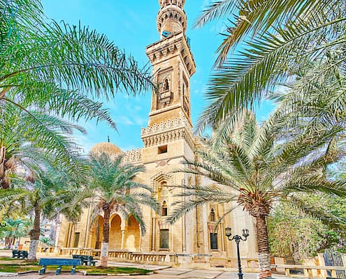 Shady palm garden, located next to Abu al-Abbas al-Mursi Mosque, Alexandria, Egypt