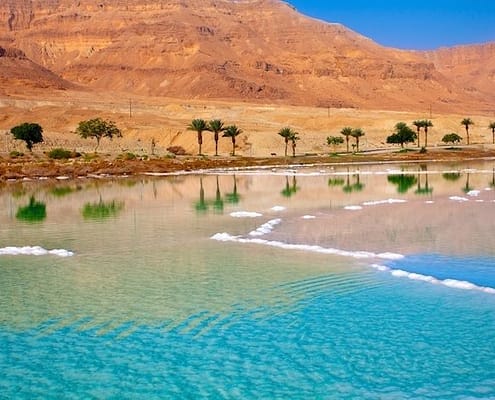 Dead Sea seashore with palm trees and mountains, Jordan