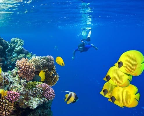 Sharm El Sheikh Tours