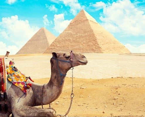 Tours for African Americans to Egypt