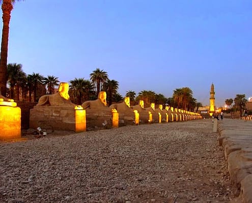 14 Day Egypt Tours - Sphinx Alley near the Luxor Temple, Egypt