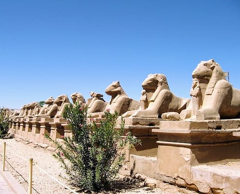 12 Day Egypt Tours - Egyptian Sphinxes, Thebes