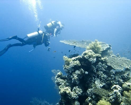 El Gouna Diving Holidays