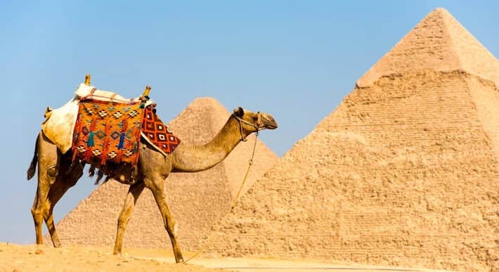 5 Day Tour of Cairo