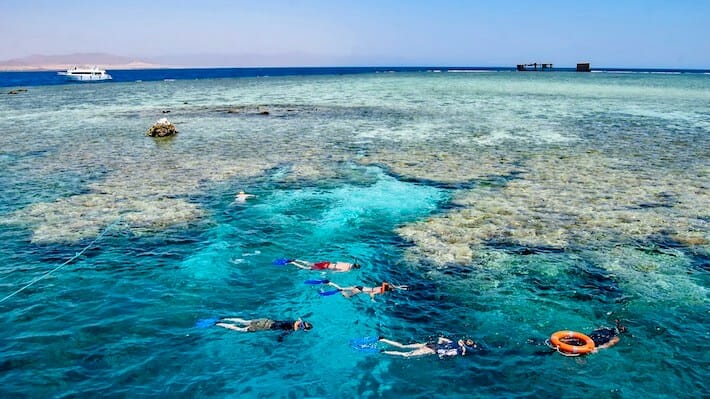 Tiran Island Snorkeling