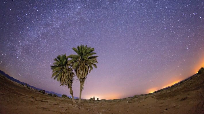 Sharm El Sheikh Safari