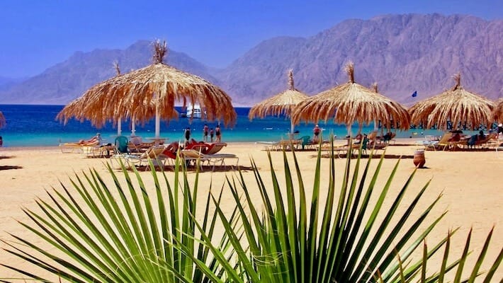Red Sea beach with palm and umbrellas