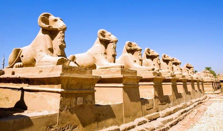 Egypt Cruises 2019 - Avenue of Sphinxes in Luxor