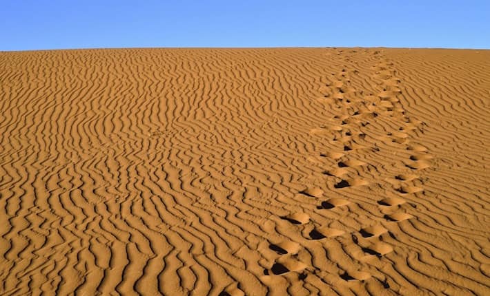 sand Sahara desert in Morocco near Mhamid 2