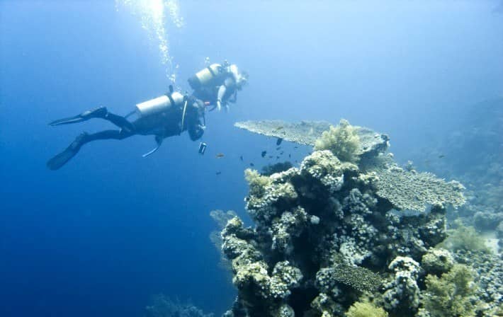 El Gouna Diving Holidays