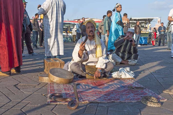 Snake charmer at the Jemaa el-Fnaa square in Marrakesh