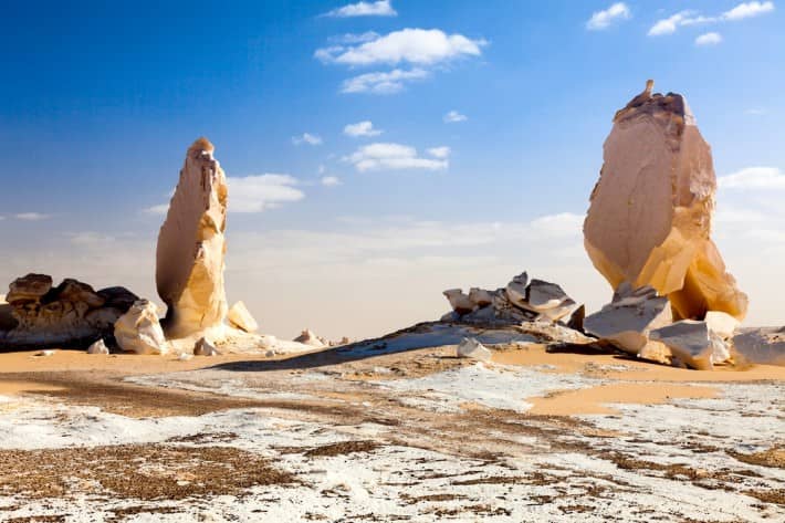 Egypt's White Desert: A Surreal Landscape You Must See - Flora and Fauna of the White Desert