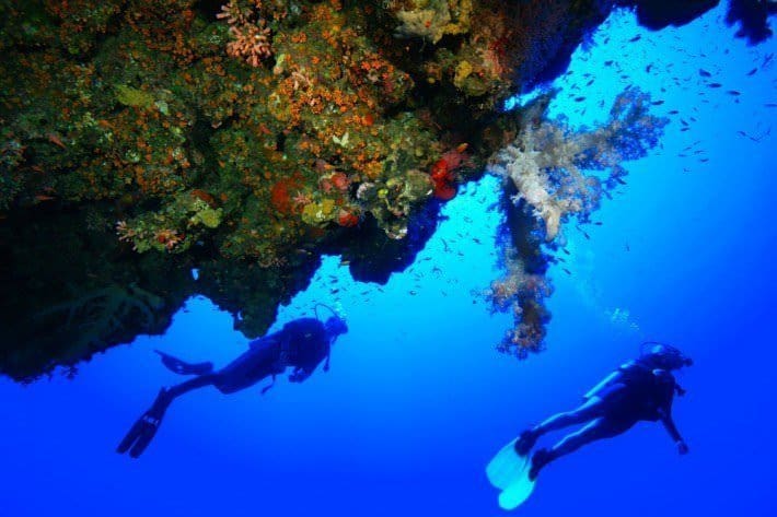 Hurghada Diving Holidays
