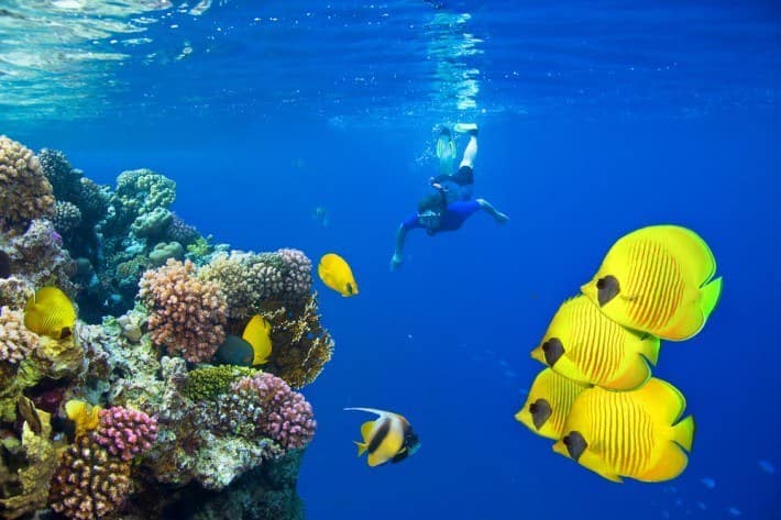 Sharm El Sheikh Tours