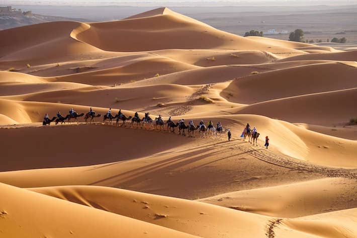 Desert safari adventure in M'hamid, Marrakech