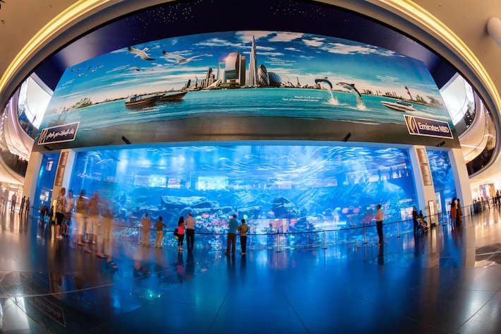 Dubai Aquarium and Underwater Zoo in the Dubai Mall