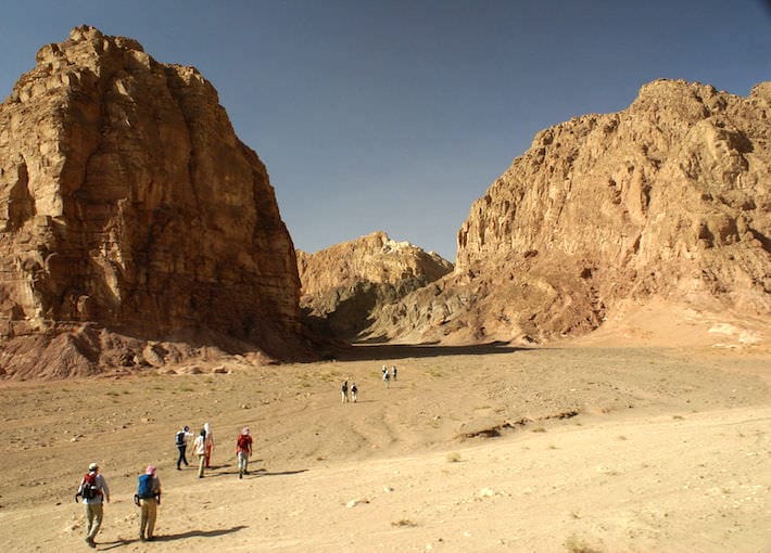 Sinai Desert Tours - Photo by Florian Prischl