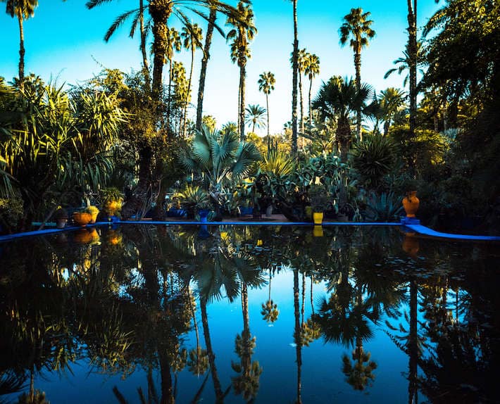 Palm trees in Majorelle gardens