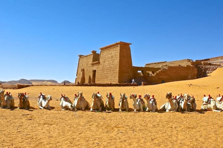 Viajes a Egipto - Camellos en el templo de Wadi al-Sabua