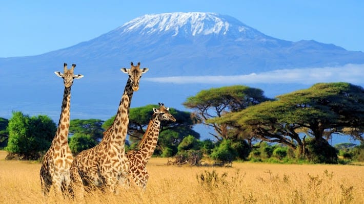 Egypt and Kenya Safari Tour