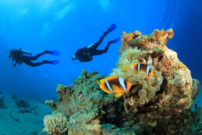 Diving in Sharm El Sheikh