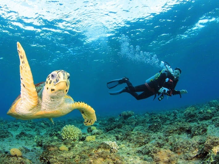 the best of egypt, go diving