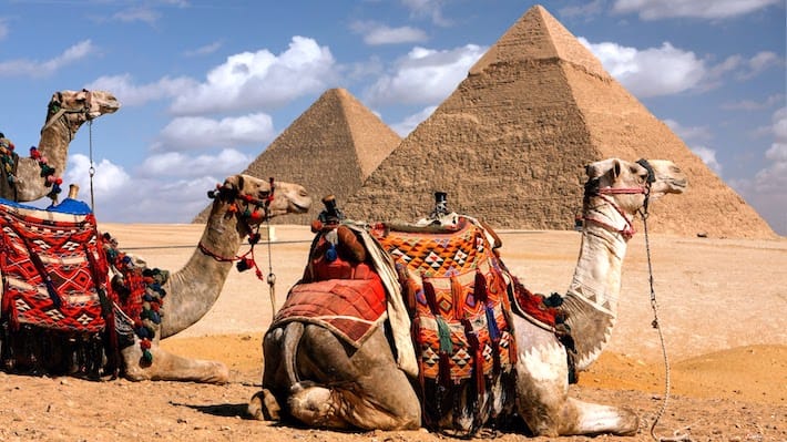 Giza Pyramids Half Day Tour