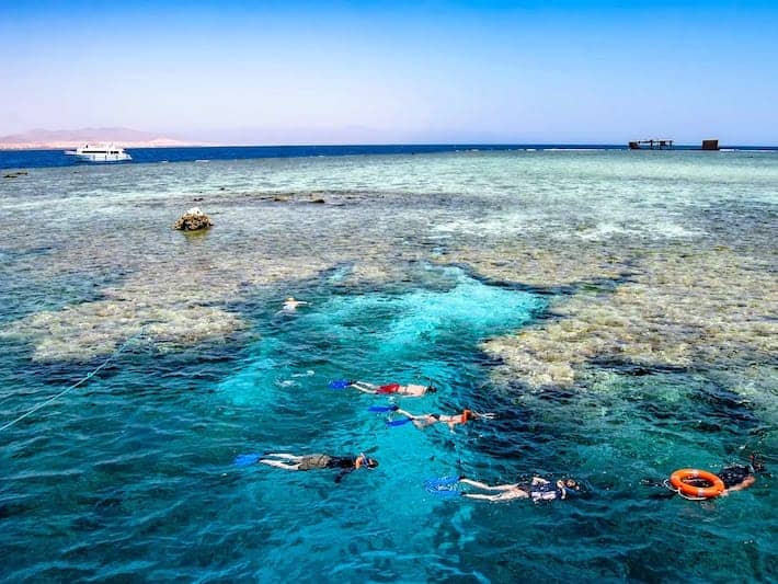cool things to do in Egypt, Snorkellers, Sharm el Sheikh, Egypt