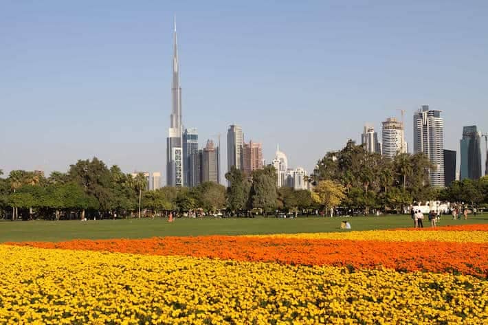 Safa Park – One Of Dubai’s Most Cherished Public Parks