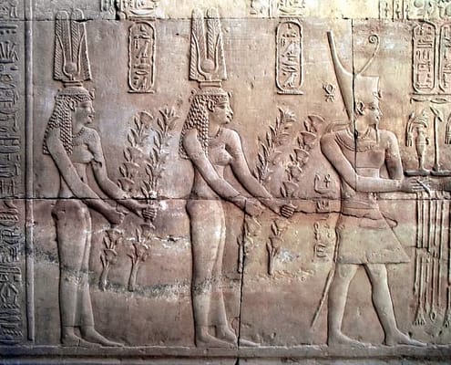 Bas-relief in Temple of Kom Ombo,