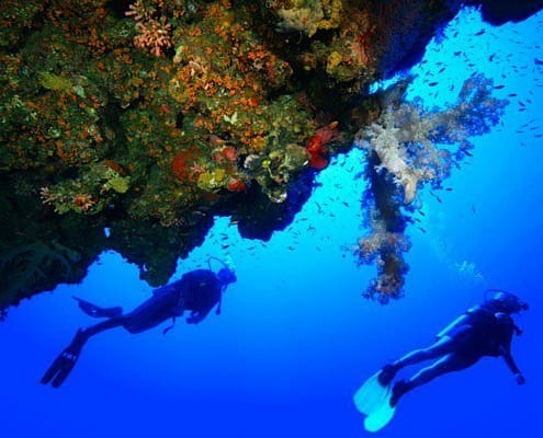 Hurghada Diving Holidays