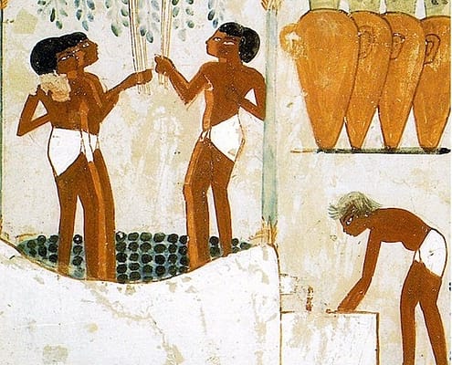 Papyrus stem columns holding up Grapevine arbor - Tomb of Nakht