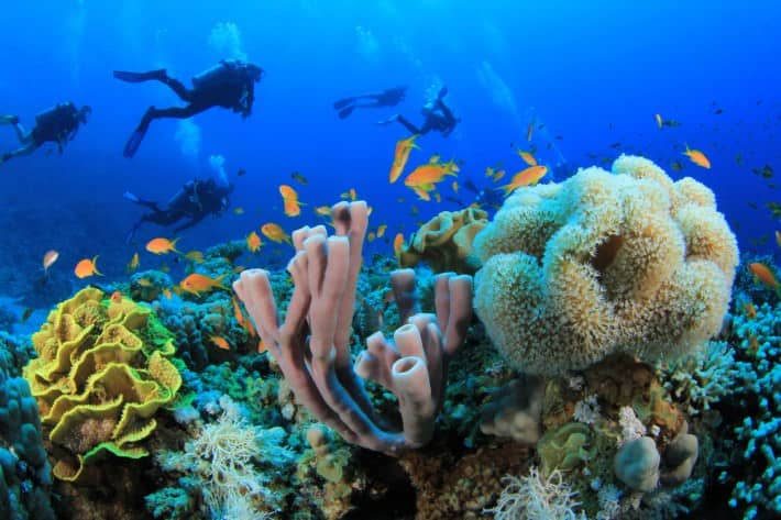 Sharm El Sheikh Diving Holidays