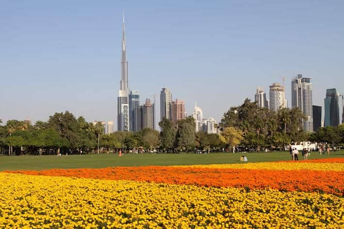Dubai view from Safa Park