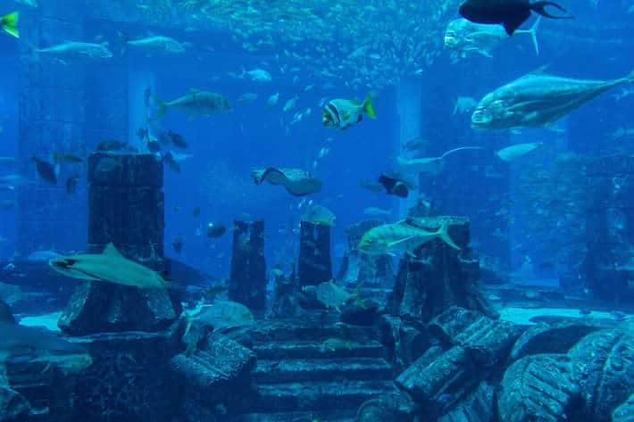 Lost Chambers Aquarium inside Atlantis Hotel on Palm Jumeirah