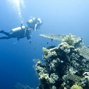 El Gouna Diving Holidays