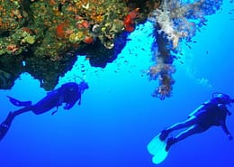 Divers and coral reef, Hurghada, Red Sea
