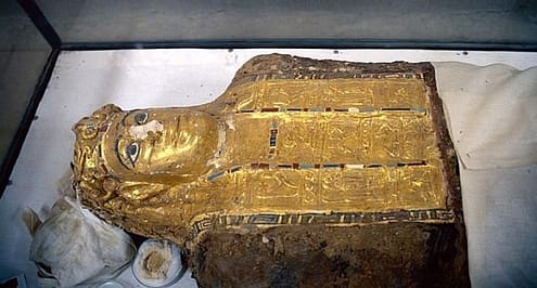 Mummy found in the Valley of the Golden Mummies, now in el-Bawiti museum, el-Bahriya
