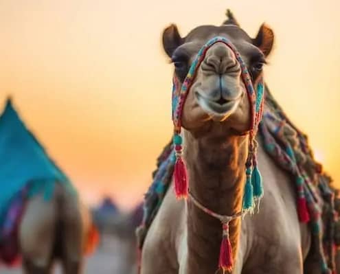 Consejos para viajar a Egipto