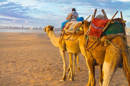 Best Tours of Morocco: Our Hands-On Reviews - Planning Your Ideal Moroccan Adventure