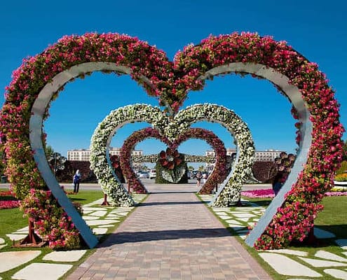 Heart shaped flower beds at the Alley of Hearts. Dubai Miracle Garden is famous for its extraordinary flower installations