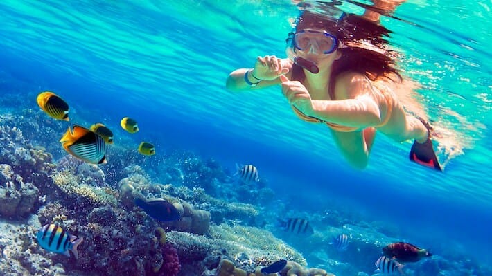 Mahmya Island Snorkeling