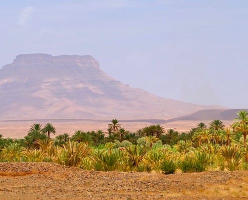 Morocco Desert Tours