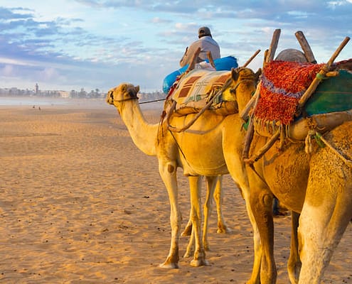 Essaouira Tours