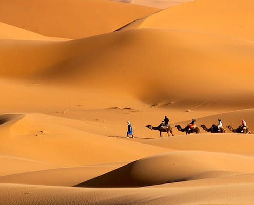 Merzouga Tours