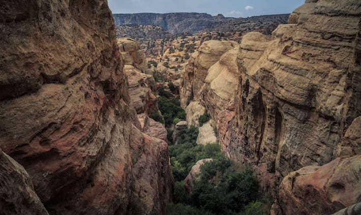 Dana Biosphere Reserve