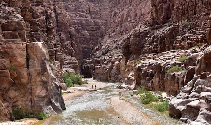 Wadi Mujib Nature Reserve was established in 1987 and is located at the eastern shore of the Dead Sea