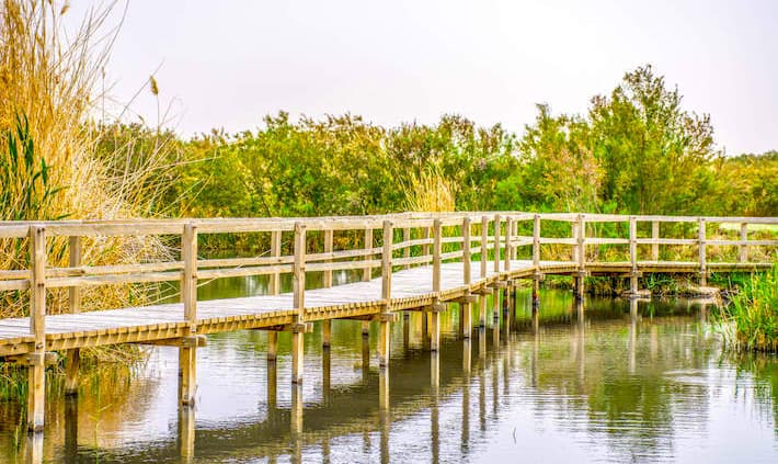 Footbridge in Azraq Wetland Reserve, Jordan