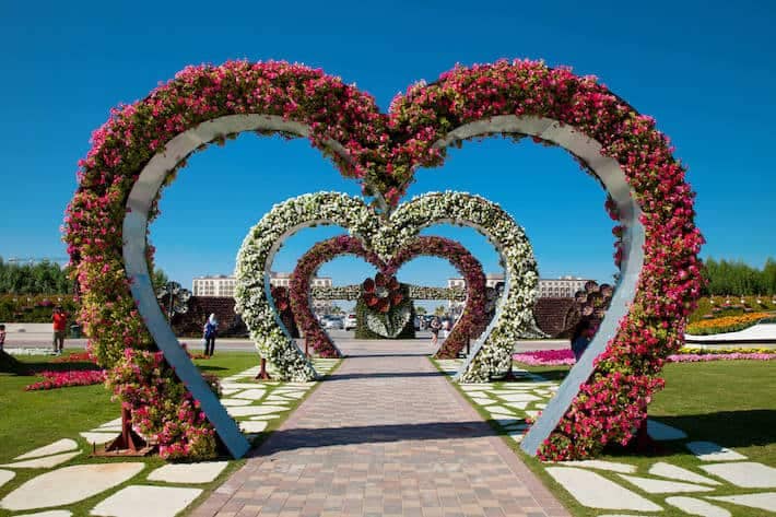 Heart shaped flower beds at the Alley of Hearts. Dubai Miracle Garden is famous for its extraordinary flower installations