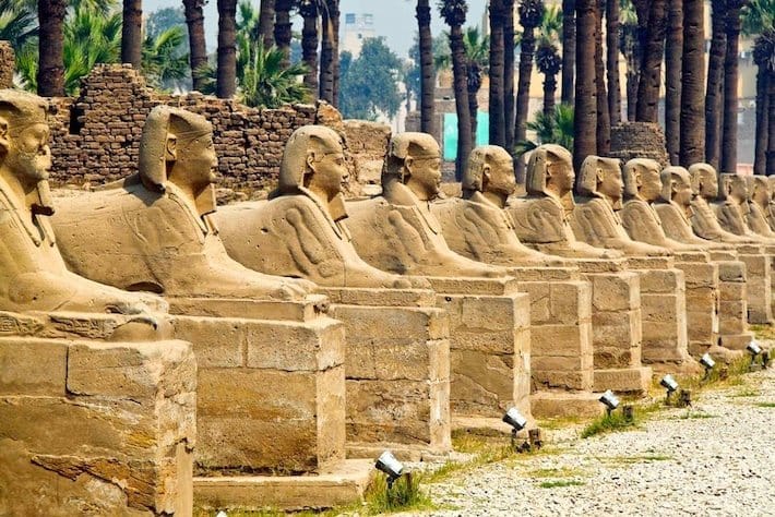 Human headed sphinxes, Luxor Temple